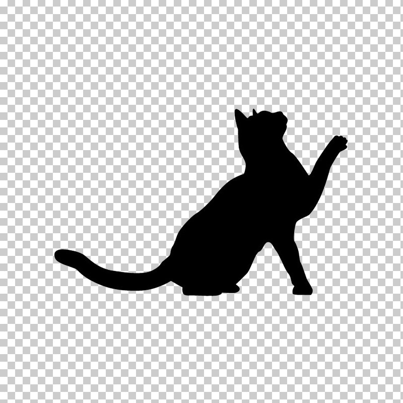 Cat Small To Medium-sized Cats Black White Black Cat PNG, Clipart, Black, Black Cat, Cat, Silhouette, Small To Mediumsized Cats Free PNG Download