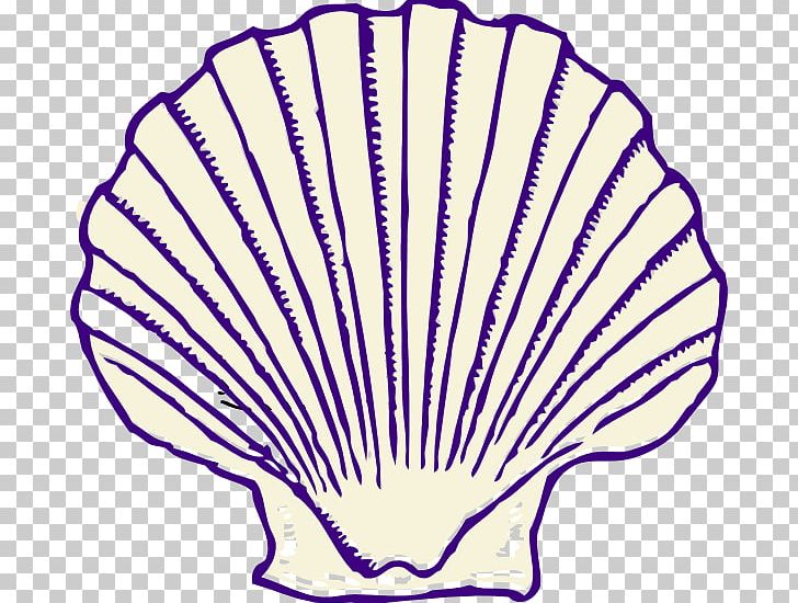 Seashell PNG, Clipart, Animals, Area, Art, Artwork, Beach Free PNG Download