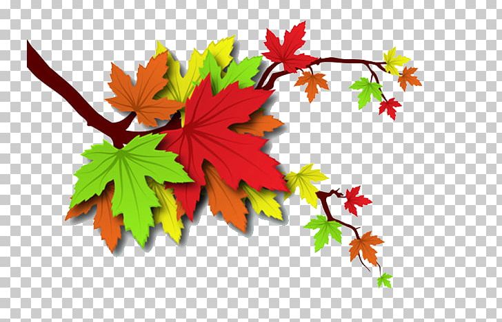 Autumn Leaf Illustration PNG, Clipart, Autumn, Autumn Leaves, Autumn Tree, Download, Euclidean Vector Free PNG Download