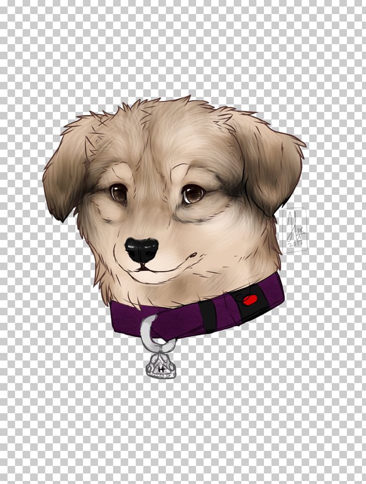 Dog Breed Puppy Sporting Group Companion Dog PNG, Clipart, Animals, Breed, Carnivoran, Clothing, Companion Dog Free PNG Download