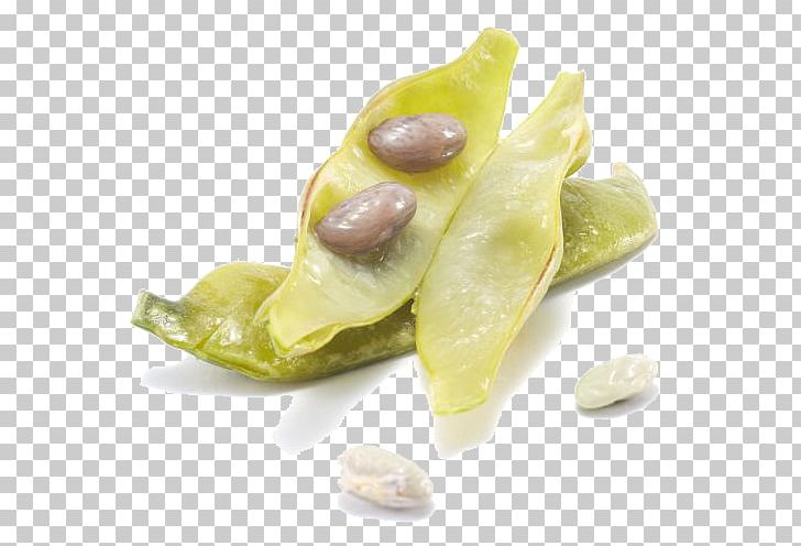 Vegetable Common Bean PNG, Clipart, Bean, Beans, Cartoon, Commodity, Common Bean Free PNG Download