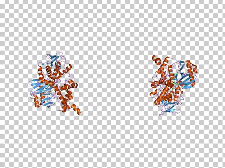 Monoamine Oxidase A Gene Monoamine Neurotransmitter Enzyme PNG, Clipart, Art, Barr Body, Biological Activity, Body Jewelry, Complex Free PNG Download