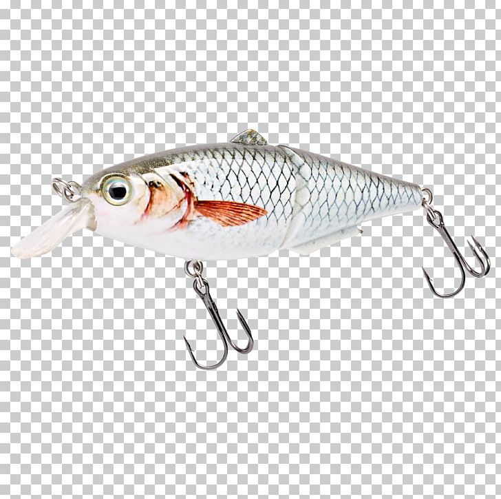 Spoon Lure Plug Fishing Tackle Northern Pike PNG, Clipart, Bait, Carp, Common Roach, Fish, Fishing Free PNG Download