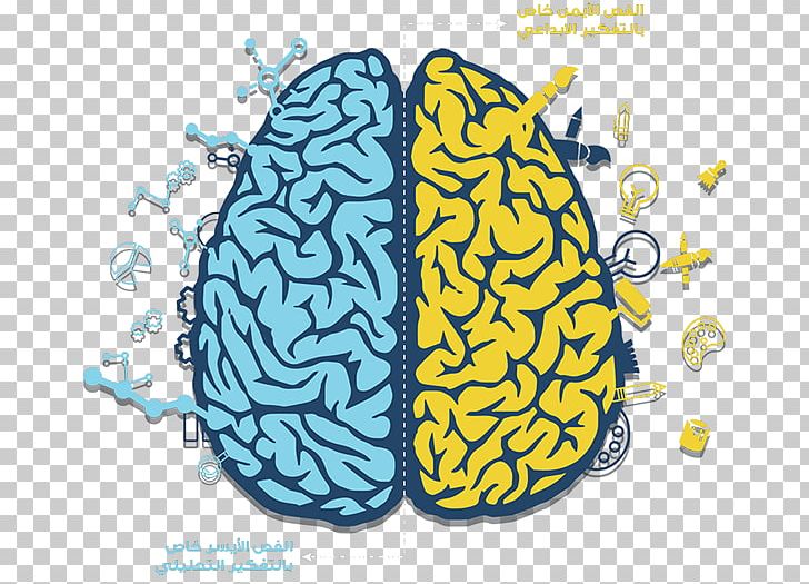 Human Brain PNG, Clipart, Artificial Brain, Brain, Electric Blue, Human Brain, Illustrator Free PNG Download