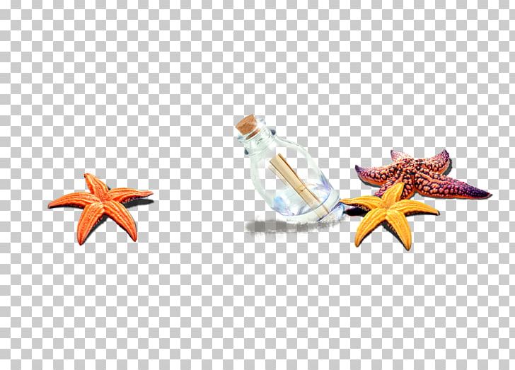 Starfish Beach Sea Computer File PNG, Clipart, Adobe Illustrator, Beach Decoration, Beach Vector, Bottle, Christmas Decoration Free PNG Download