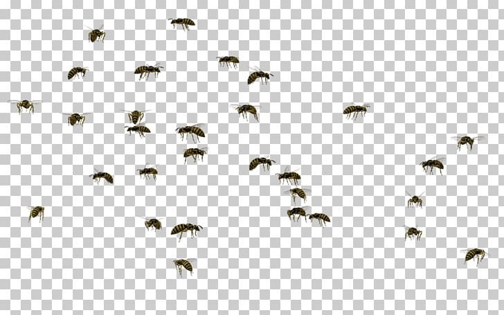 Bee Insect Swarm Behaviour Wasp PNG, Clipart, Animals, Bee, Bird, Clip Art, Drawing Free PNG Download