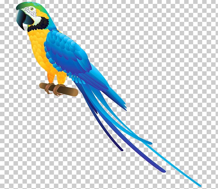 Bird PNG, Clipart, Animal Figure, Animals, Bird, Common Pet Parakeet, Desktop Wallpaper Free PNG Download