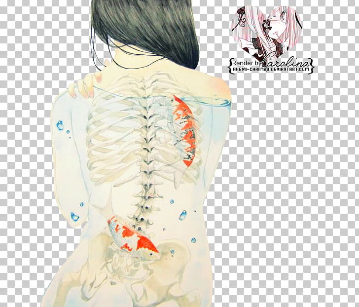 Bone Marrow Human Skeleton Skull PNG, Clipart, Art, Back, Blouse, Bone, Bone Marrow Free PNG Download