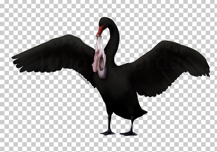 Cygnini Animation Goose PNG, Clipart, Animation, Ballet, Beak, Bird, Cartoon Free PNG Download