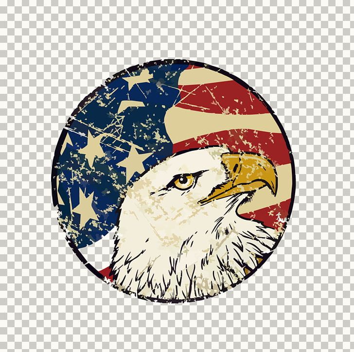 Flag Of The United States Bald Eagle PNG, Clipart, American, Bird, Bird Of Prey, Brooch, Christmas Decoration Free PNG Download