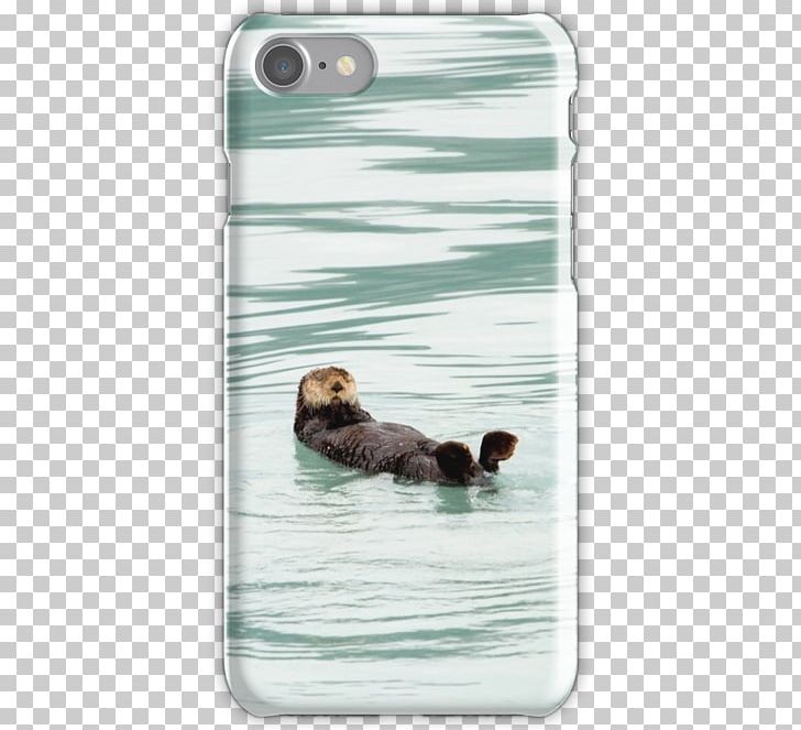 Sea Otter Sea Lion Duck PNG, Clipart, Carnivoran, Duck, Ducks Geese And Swans, Fauna, Lion Free PNG Download