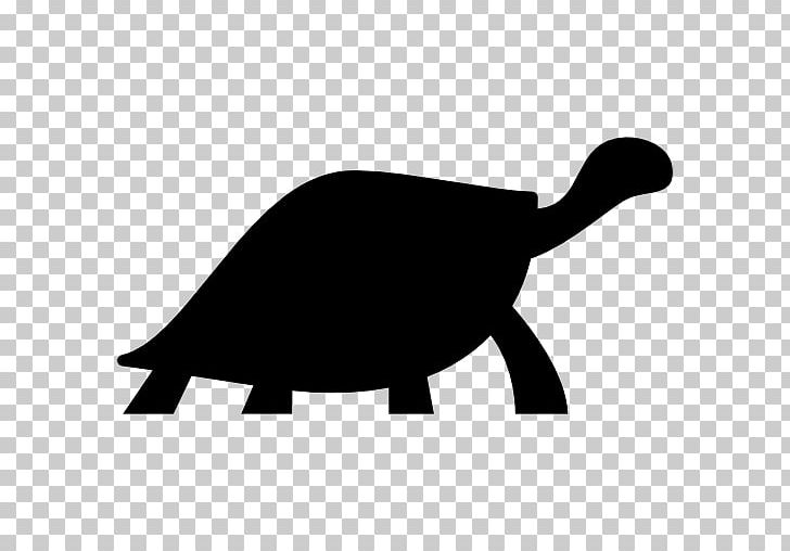 Turtle Reptile Crocodile PNG, Clipart, Animals, Black And White, Computer Icons, Crocodile, Encapsulated Postscript Free PNG Download