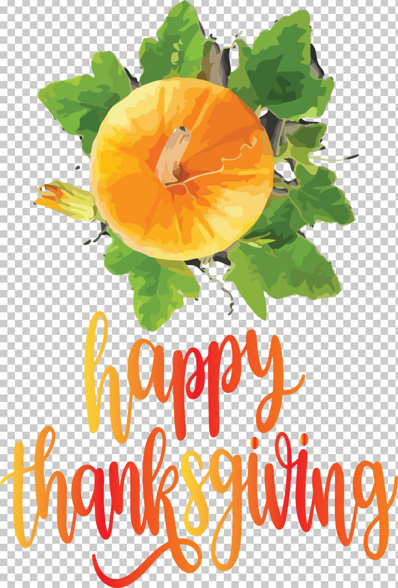 Happy Thanksgiving Autumn Fall PNG, Clipart, Autumn, Fall, Flower, Fruit, Happy Thanksgiving Free PNG Download