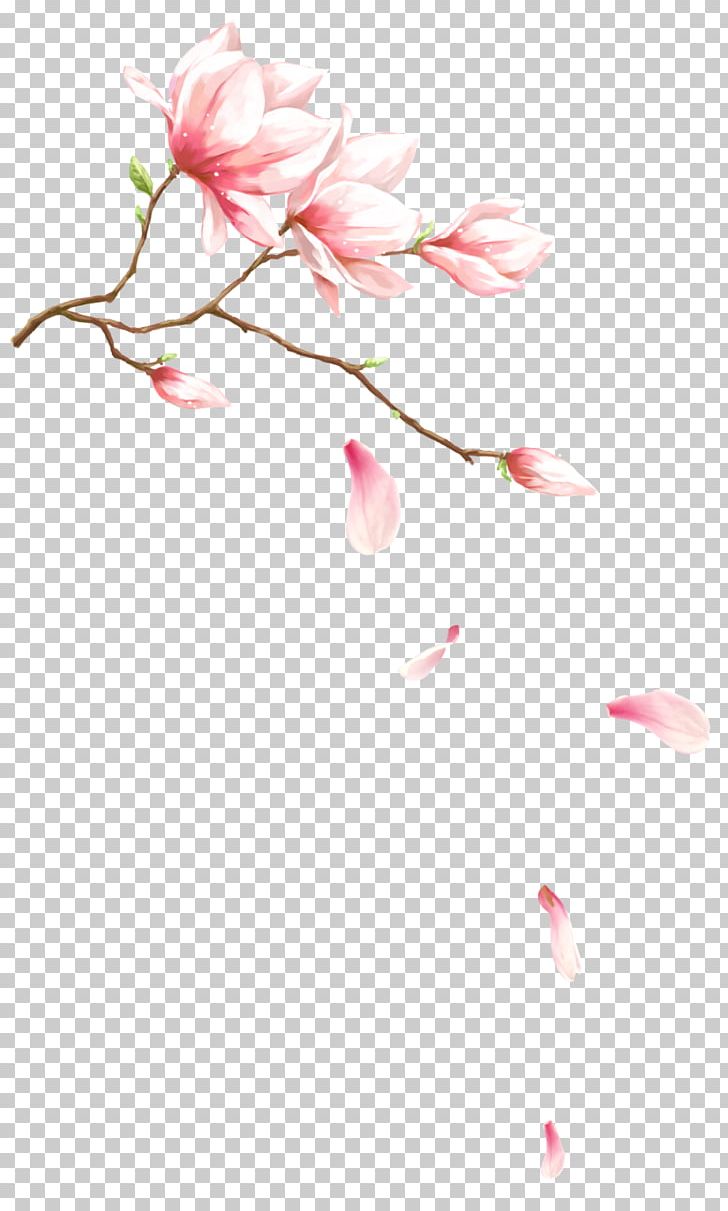 Watercolor Painting Flower PNG, Clipart, Blossom, Branch, Branches, Cherry Blossom, Dream Free PNG Download