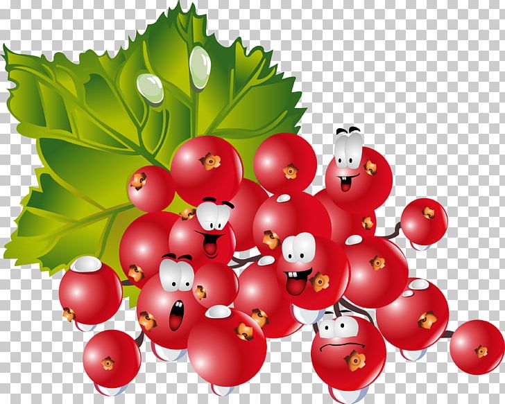 Computer Icons Fruit PNG, Clipart, Aquifoliales, Auglis, Berries, Berry, Cherry Free PNG Download