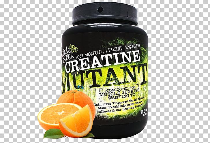 Dietary Supplement Creatine Muscle Brand Citrus × Sinensis PNG, Clipart, Brand, Citrus Sinensis, Creatine, Diet, Dietary Supplement Free PNG Download