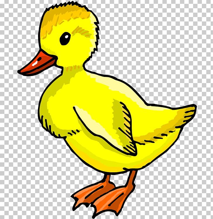 Duck Portable Network Graphics Open PNG, Clipart, Animals, Artwork, Beak, Bird, Cuteness Free PNG Download