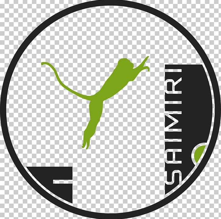 Saïmiri Parkour Tim Création / Timothée Molla Mulhouse Brand PNG, Clipart, Amphibian, Apple, Area, Artwork, Brand Free PNG Download