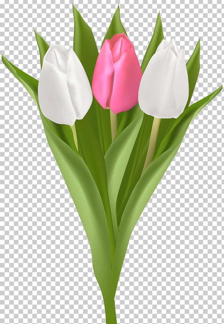 Tulip Flower Bouquet PNG, Clipart, Cut Flowers, Daffodil, Digital Image, Flower, Flower Bouquet Free PNG Download