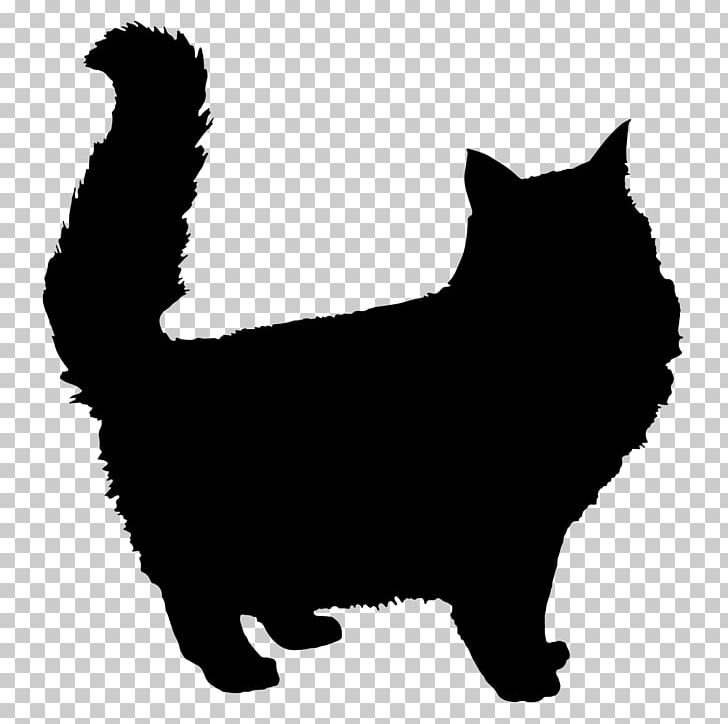 Kitten Persian Cat Maine Coon PNG, Clipart, Animals, Black, Carnivoran, Cat Like Mammal, Dog Like Mammal Free PNG Download