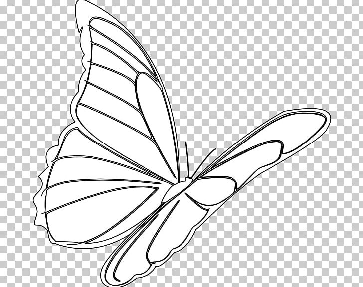 Monarch Butterfly Drawing Flight PNG, Clipart, Angle, Art, Artwork, Black And White, Brush Footed Butterfly Free PNG Download