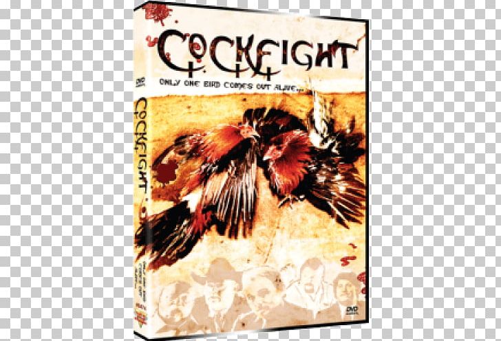 Professional Cockfighting Amazon.com Blu-ray Disc Film PNG, Clipart, Advertising, Amazoncom, Bluray Disc, B Movie, Cockfight Free PNG Download