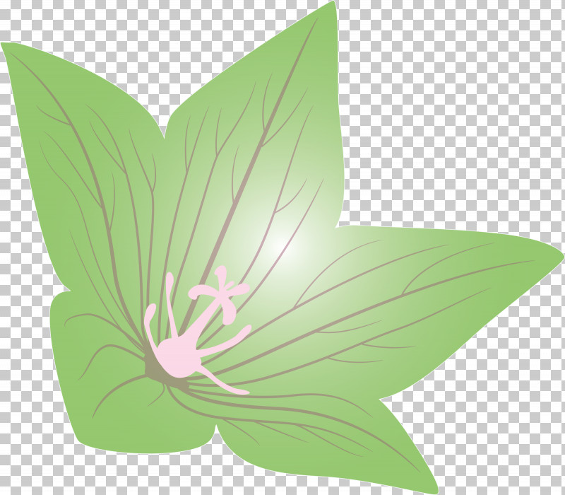 Balloon Flower PNG, Clipart, Balloon Flower, Biology, Butterflies, Flora, Flower Free PNG Download