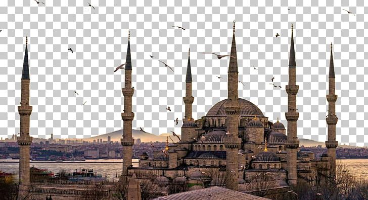 Hagia Sophia Sultan Ahmed Mosque Topkapı Palace Süleymaniye Mosque İznik PNG, Clipart, Attractions, Building, Fig, Historic Site, Landscape Free PNG Download