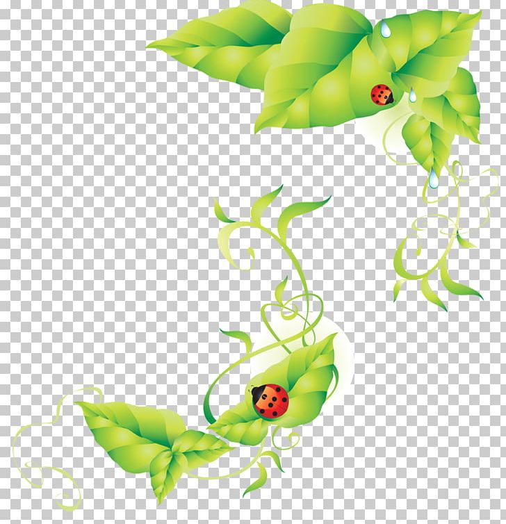 Ladybird PNG, Clipart, Branch, Cute Ladybug, Encapsulated Postscript, Flora, Floral Design Free PNG Download
