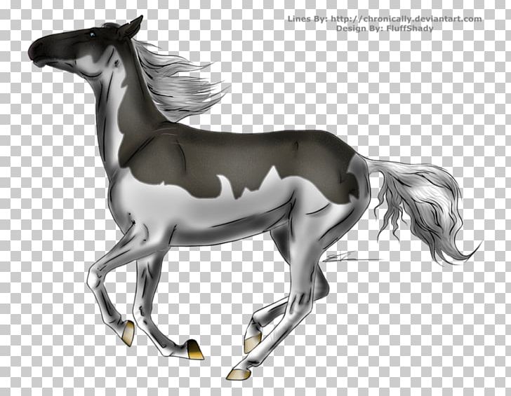 Pony Foal Mustang Mare Stallion PNG, Clipart,  Free PNG Download