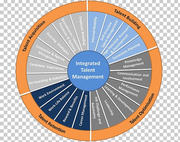 Talent Management Succession Planning Human Resource Performance Appraisal PNG, Clipart, Brand, Business, Career, Circle, Diagram Free PNG Download