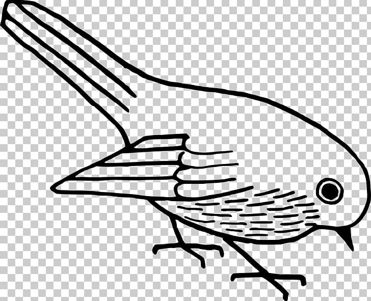 Bird Drawing PNG, Clipart, Animals, Artwork, Beak, Beehive, Bird Free PNG Download