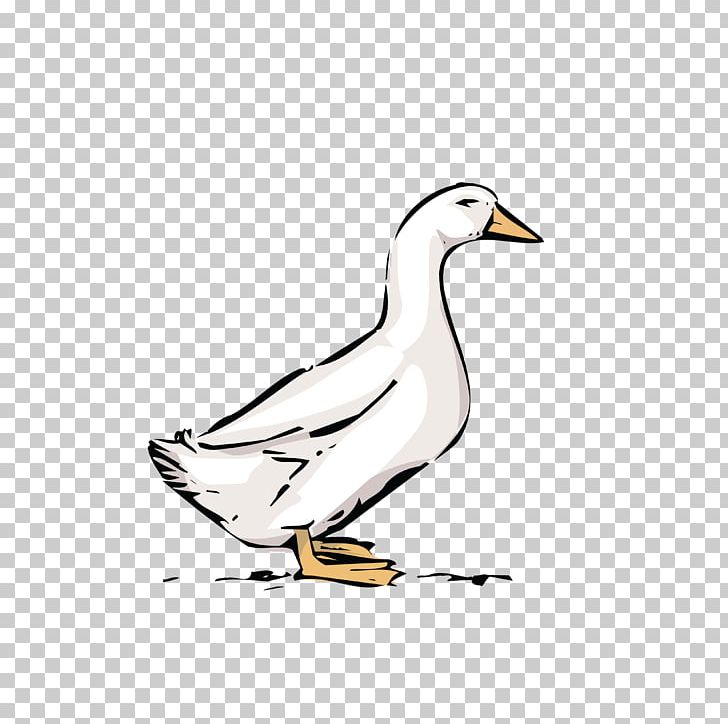 Duck Goose PNG, Clipart, Animals, Beak, Bird, Charadriiformes, Coloring Book Free PNG Download