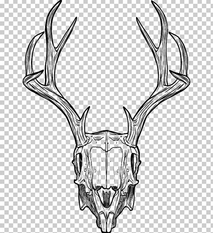 Jackalope Skull Antler Horn Drawing PNG, Clipart, Antler, Black And White, Bone, Deer, Drawing Free PNG Download