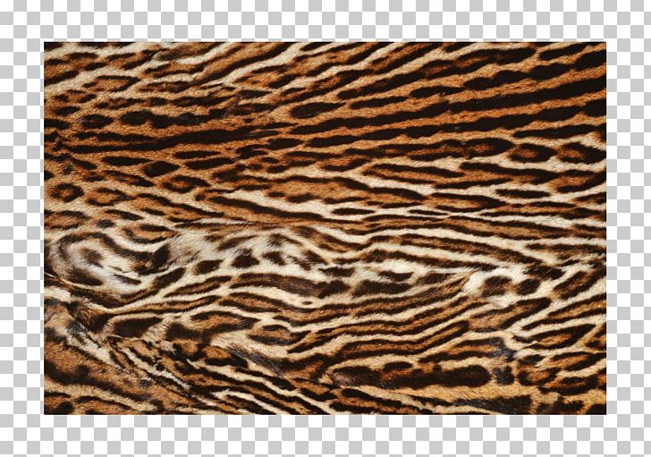 Siberian Tiger Icon PNG, Clipart, Animals, Brindle, Brown, Carnivora, Carnivoran Free PNG Download