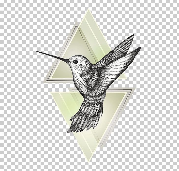 Hummingbird Drawing Art PNG, Clipart, Art, Beak, Bird, Drawing, Fauna Free PNG Download