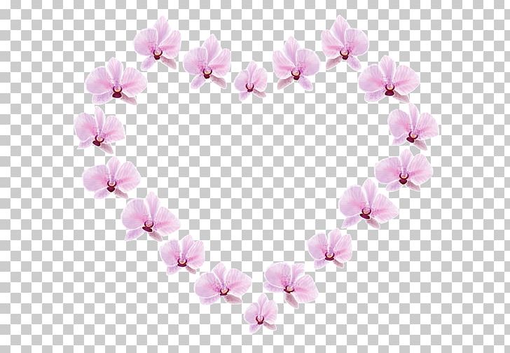 Petal Pink M Cherry Blossom ST.AU.150 MIN.V.UNC.NR AD PNG, Clipart, Blossom, Cherry, Cherry Blossom, Flower, Heart Free PNG Download