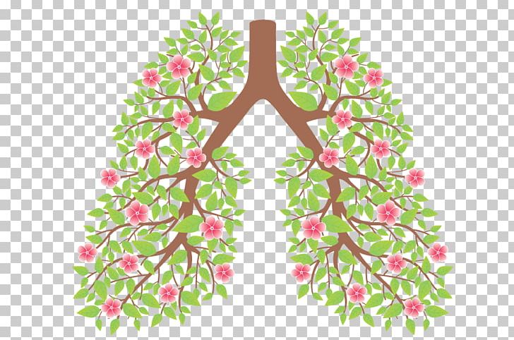 Smoking Cessation Lung Smoking Ban Drawing PNG, Clipart, Branch, Cigarette, Cough, Drawing, Flower Free PNG Download
