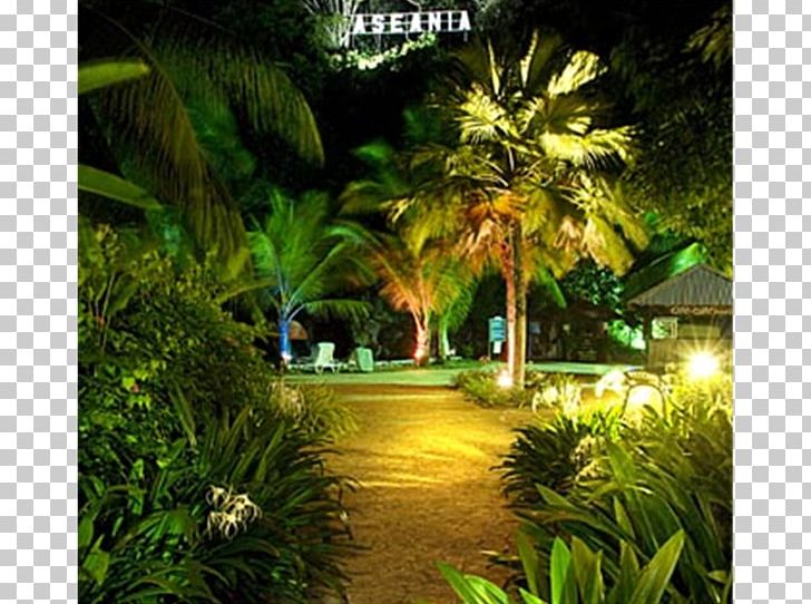Aseania Resort Langkawi Landscape Lighting PNG, Clipart, Arecaceae, Arecales, Botanical Garden, Computer, Computer Wallpaper Free PNG Download