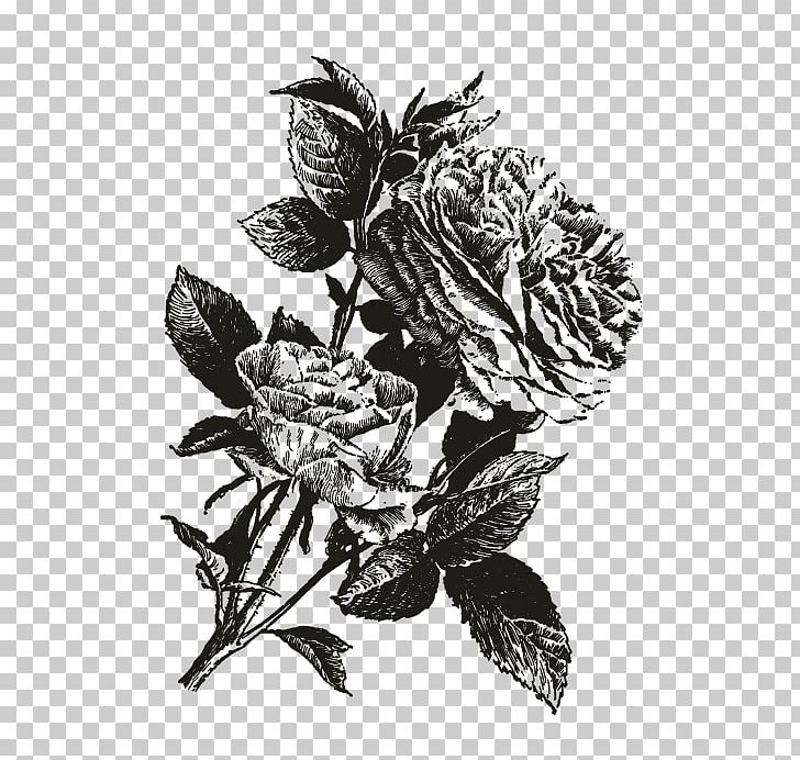 Black And White Drawing Decoupage PNG, Clipart, Art, Black And White, Branch, Decoupage, Drawing Free PNG Download