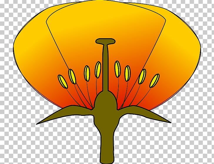 Flower Diagram PNG, Clipart, Artwork, Brain, Diagram, Flower, Flowering Plant Free PNG Download