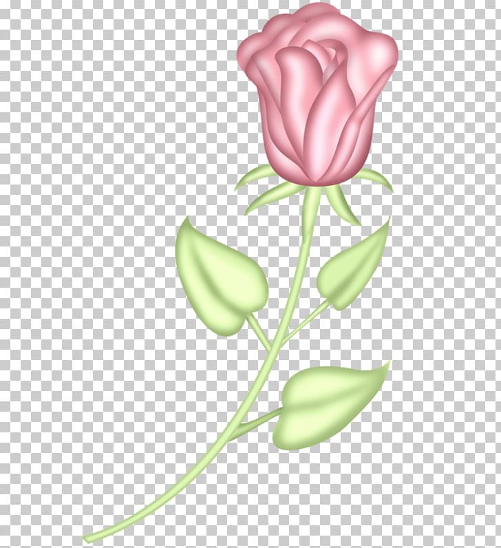Pink Tulip Flower Icon PNG, Clipart, Beach Rose, Color, Designer, Download, Flora Free PNG Download