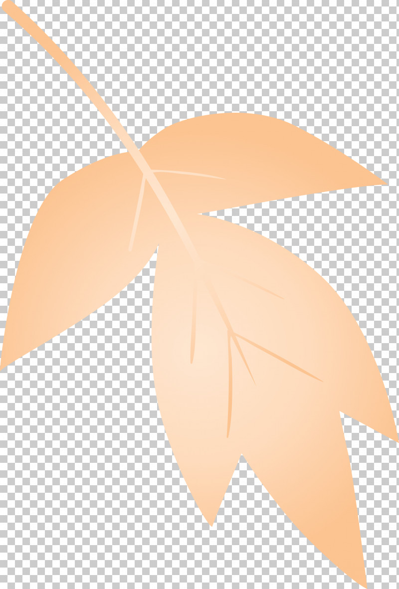 Leaf Line Logo Tree Plant PNG, Clipart, Leaf, Line, Logo, Plant, Tree Free PNG Download