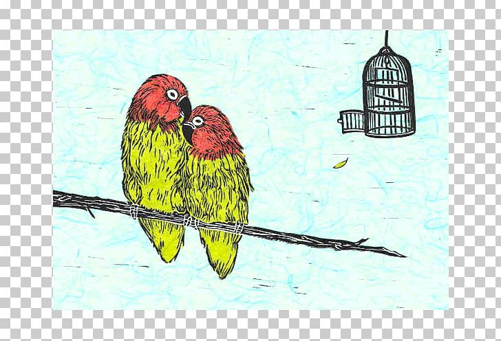 Lovebird Loriini Macaw Parakeet Feather PNG, Clipart, Animals, Art, Beak, Bird, Common Pet Parakeet Free PNG Download