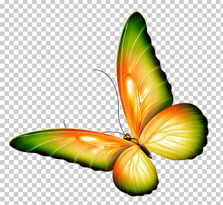 Monarch Butterfly Greta Oto PNG, Clipart, Arthropod, Butterflies And Moths, Butterfly, Chinyere Nwakanma, Clip Art Free PNG Download