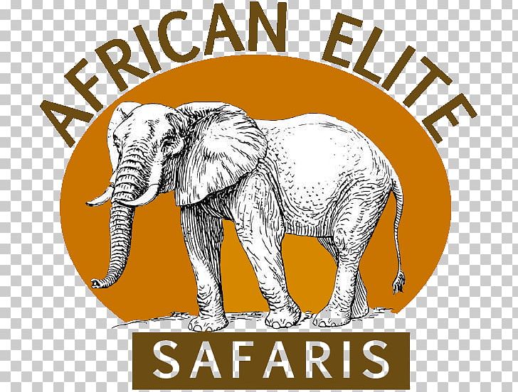 Safari Indian Elephant Hunting African Elephant Plains Game PNG, Clipart, Accommodation, Africa, African Elephant, Area, Business Free PNG Download