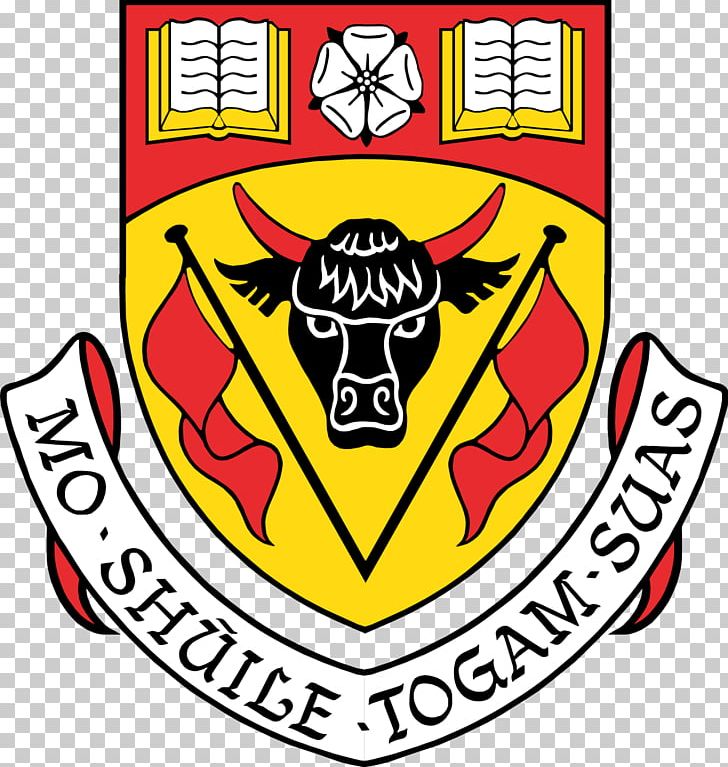University Of Calgary: The Faculty Of Social Work University Of Calgary Main Campus Saint Leo University PNG, Clipart,  Free PNG Download
