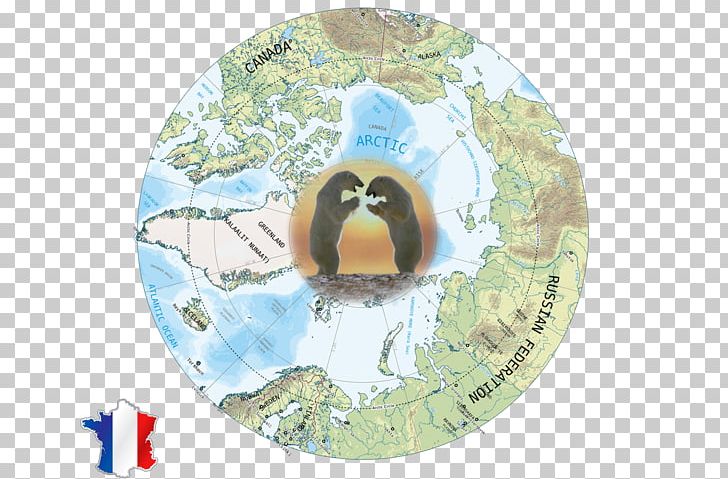 Flightless Bird Polar Route PNG, Clipart, Animals, Bird, Fauna, Flightless Bird, Russian Bear Free PNG Download