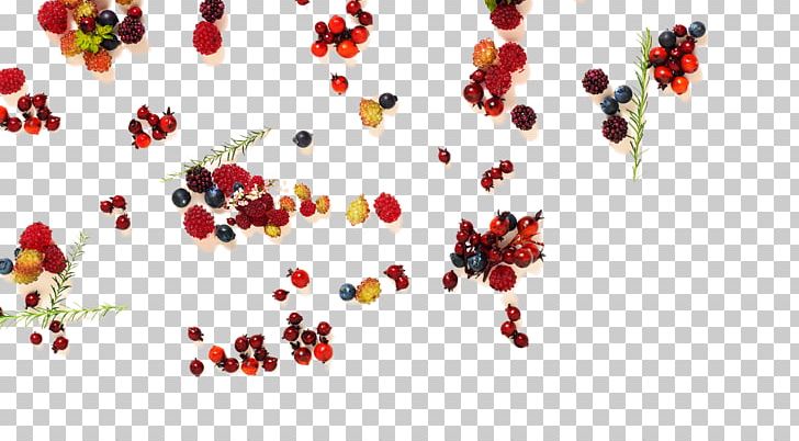 Font Point Fruit PNG, Clipart, Food, Fruit, Heart, Others, Petal Free PNG Download