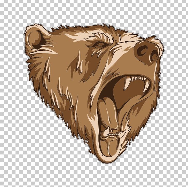 Grizzly Bear Polar Bear Cat PNG, Clipart, Animals, Bear, Bear Head, Big Cats, Brown Bear Free PNG Download